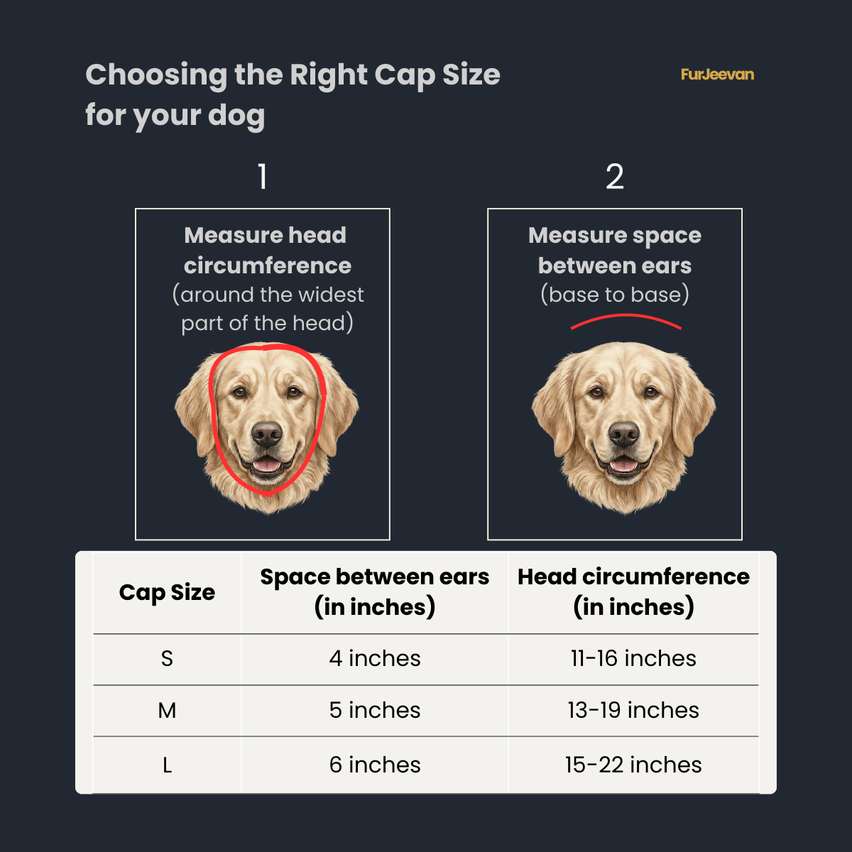 DEEP NAVY & IVORY WHITE CAPS