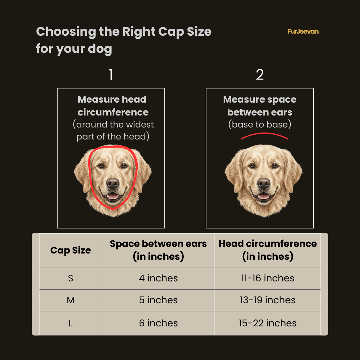 STONE GREY & CHARCOAL BROWN CAPS