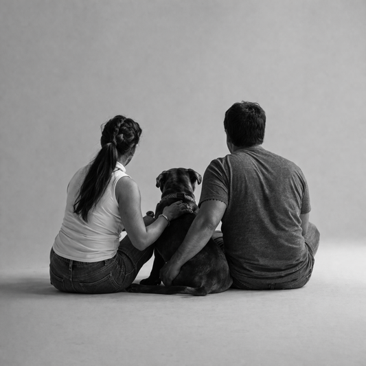We Treat Pets Like Humans. But We Don’t Design for Them Like Animals