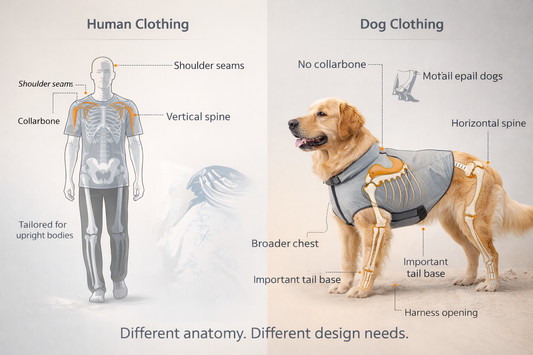Designing for Dogs Is Not the Same as Designing for Humans