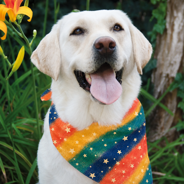 Dog Bandana