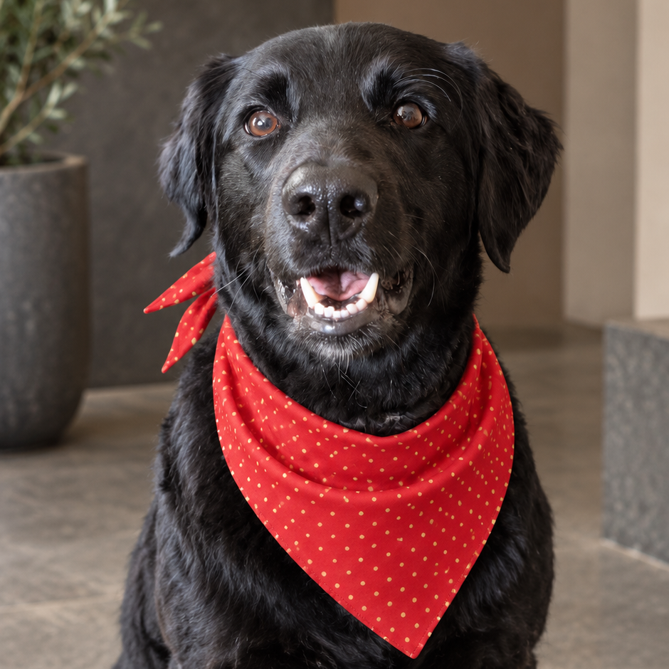 Red and Gold Polka Dot Dog Bandana