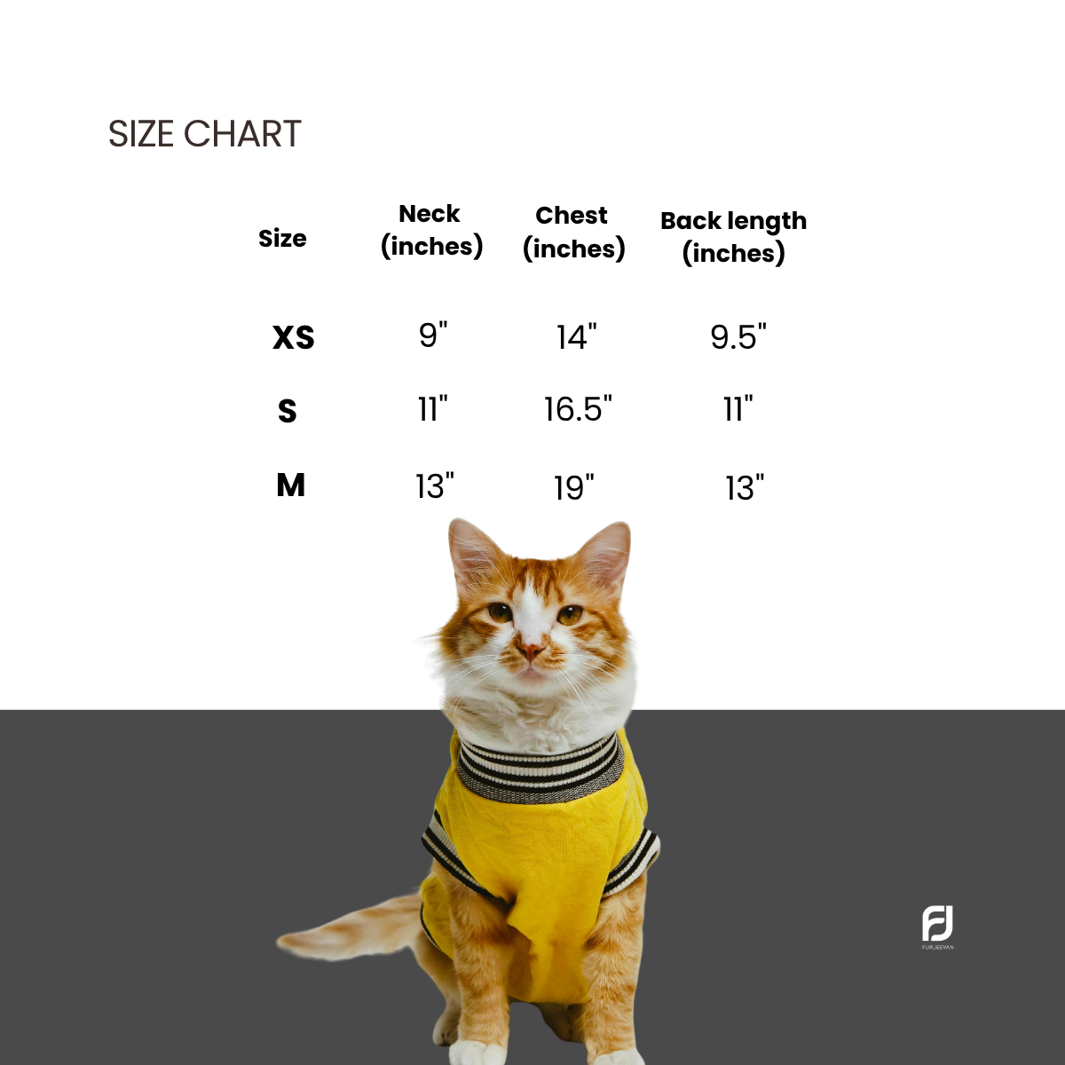 DUSTY PINK CAT T-SHIRT