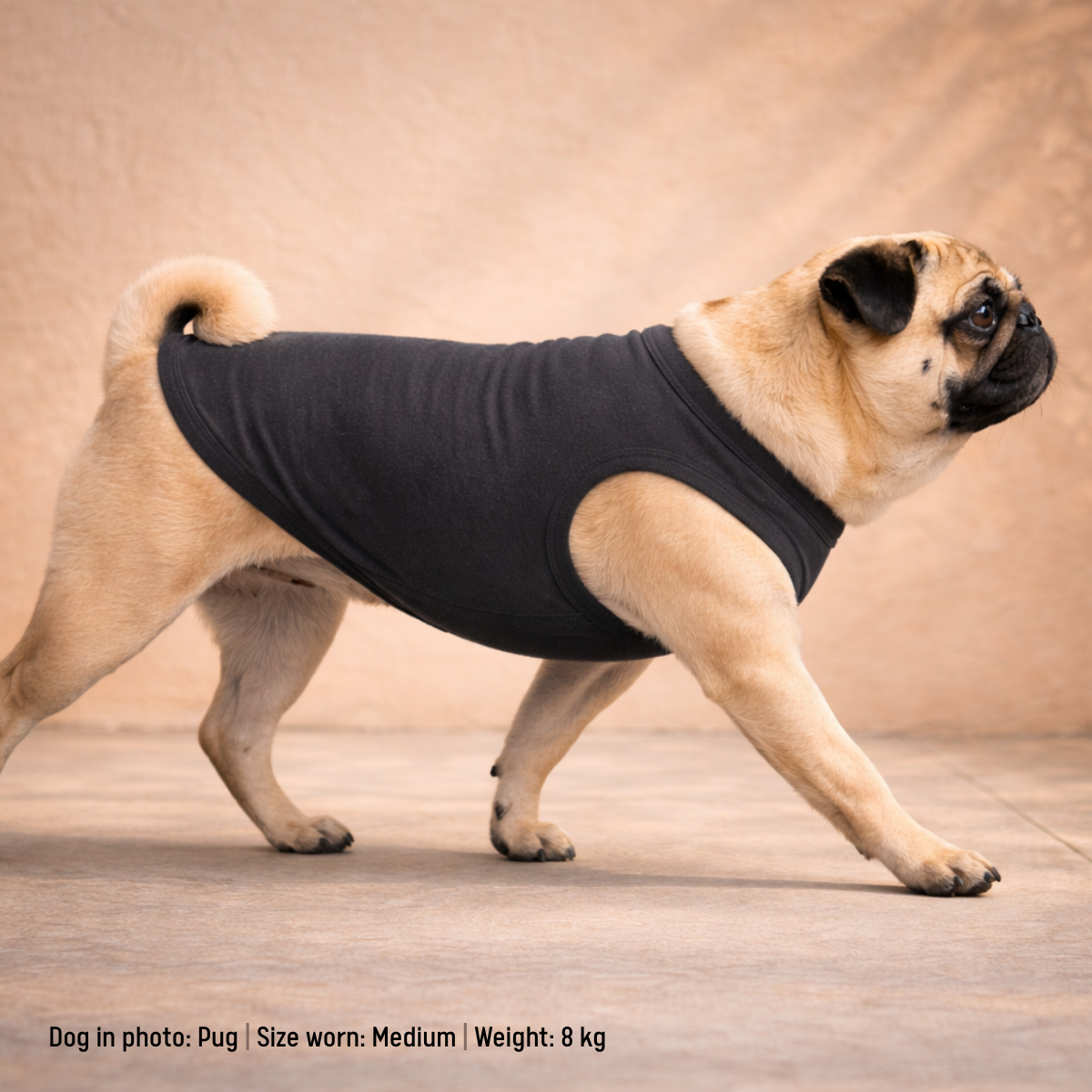 Pug wearing a charcoal grey t-shirt on a wooden floor with a brown background