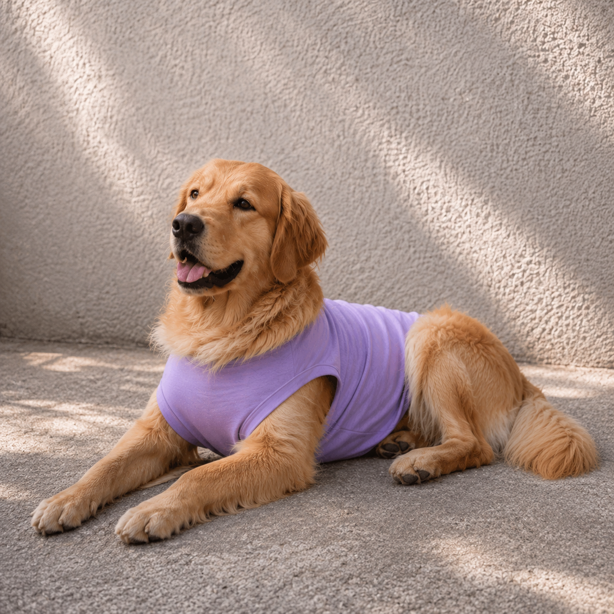 SOFT LAVENDER DOG T-SHIRT