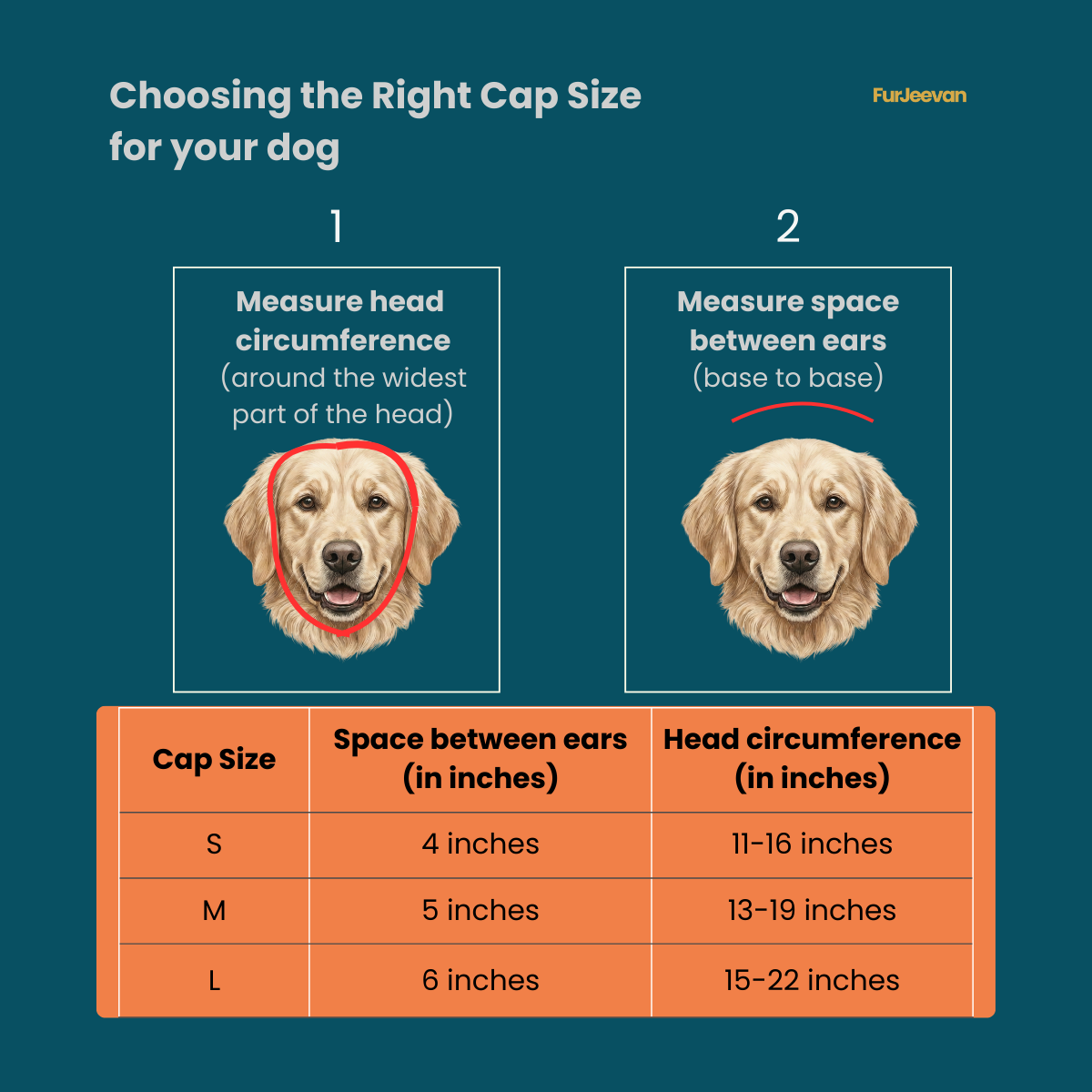 DEEP TEAL & RUST BROWN CAPS