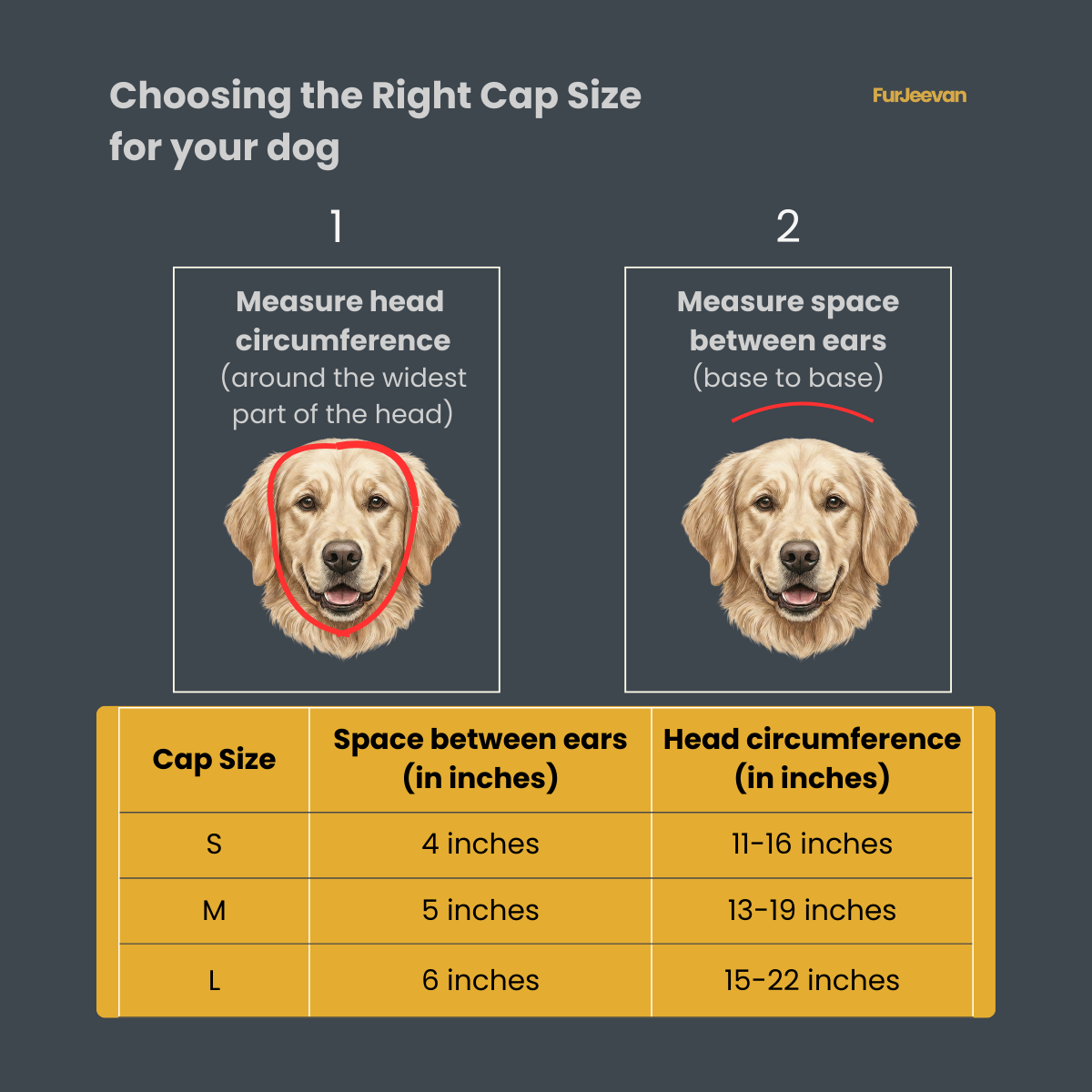 MUSTARD YELLOW & CHARCOAL BLACK CAPS