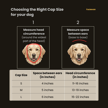 STONE GREY & CHARCOAL BROWN CAPS