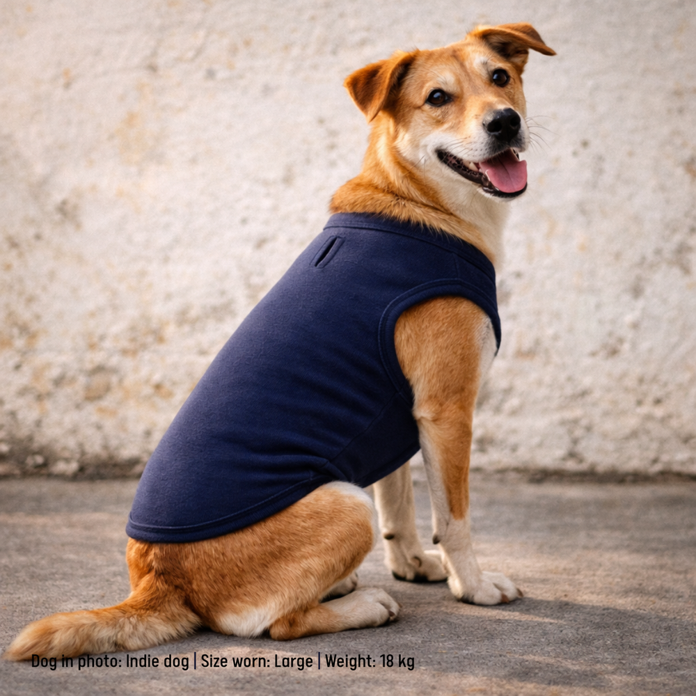 Dog wearing a deep navy blue sleeveless t-shirt sitting on a concrete surface with a textured wall background.