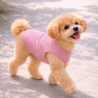 Small dog wearing a pink shirt on a light background