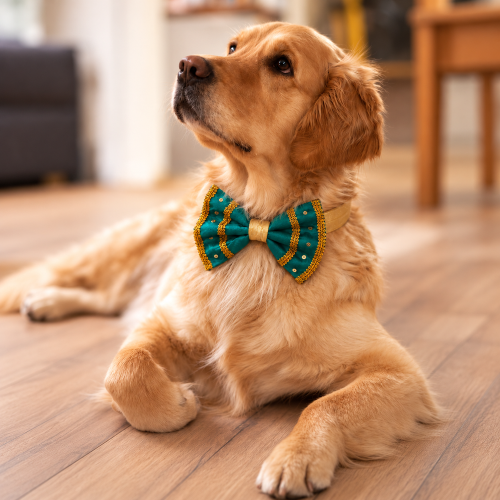 Mayura Detachable Ethnic Dog Bow with Collar