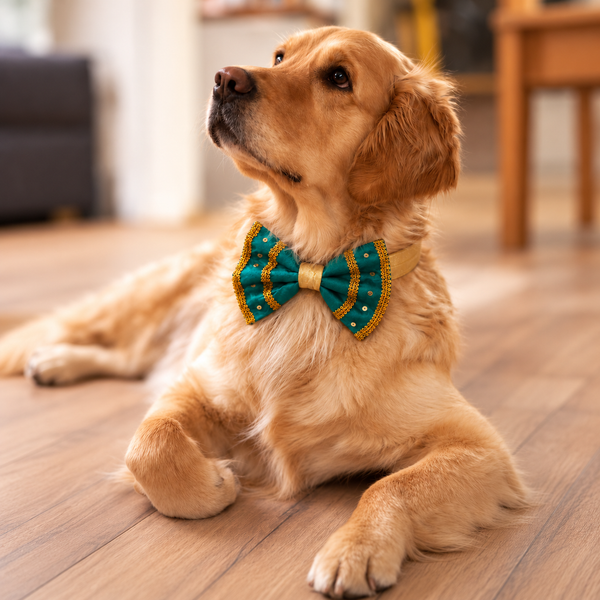 Mayura Detachable Ethnic Dog Bow with Collar