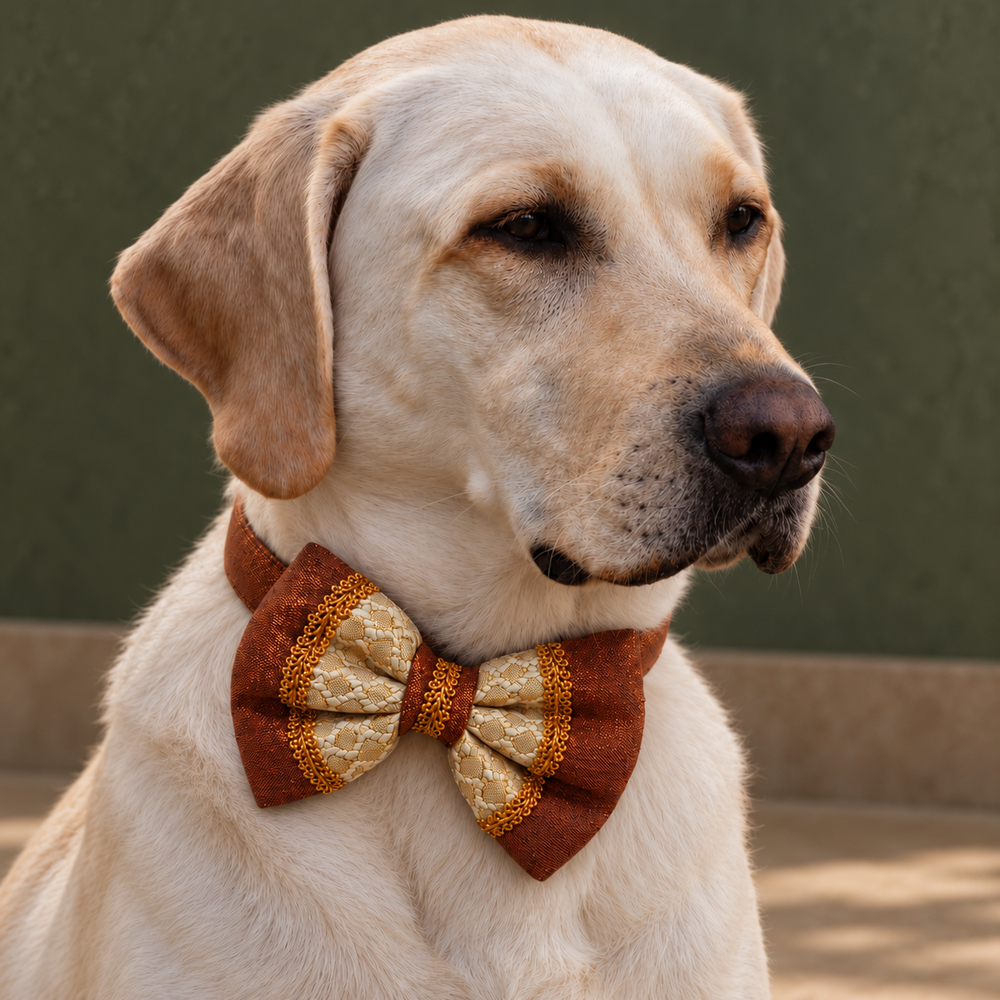 Zariya Detachable Ethnic Dog Bow with Collar
