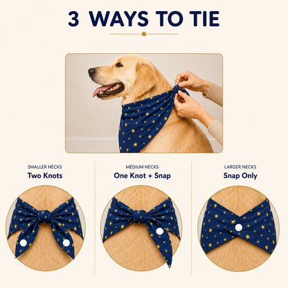 Instruction graphic titled '3 WAYS TO TIE' showing a golden retriever wearing a navy bandana with small gold stars, plus three circular close-ups explaining tie methods for smaller, medium, and larger necks.
