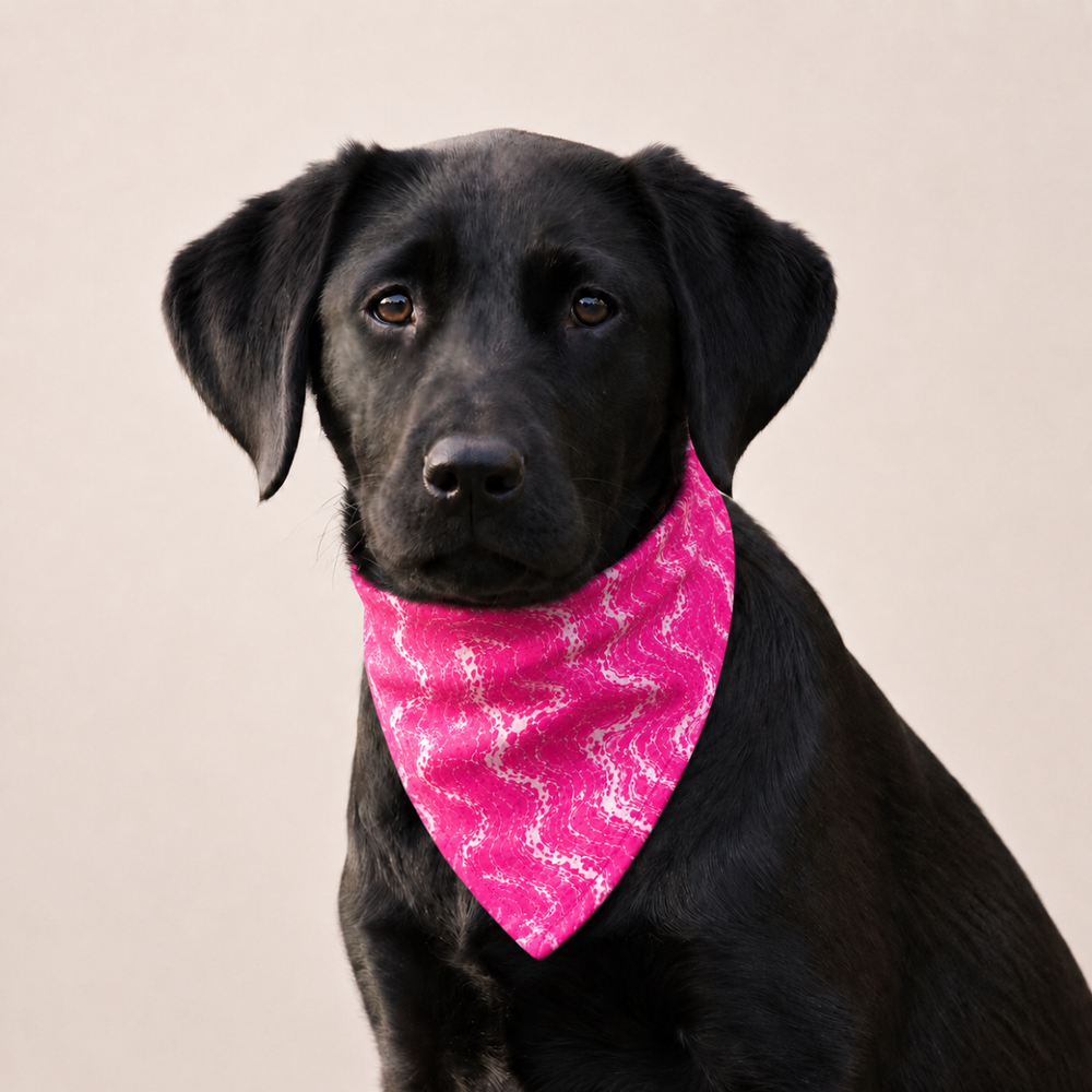 A black dog wearing a bright pink bandana with a white wavy pattern, photographed against a plain light beige background.