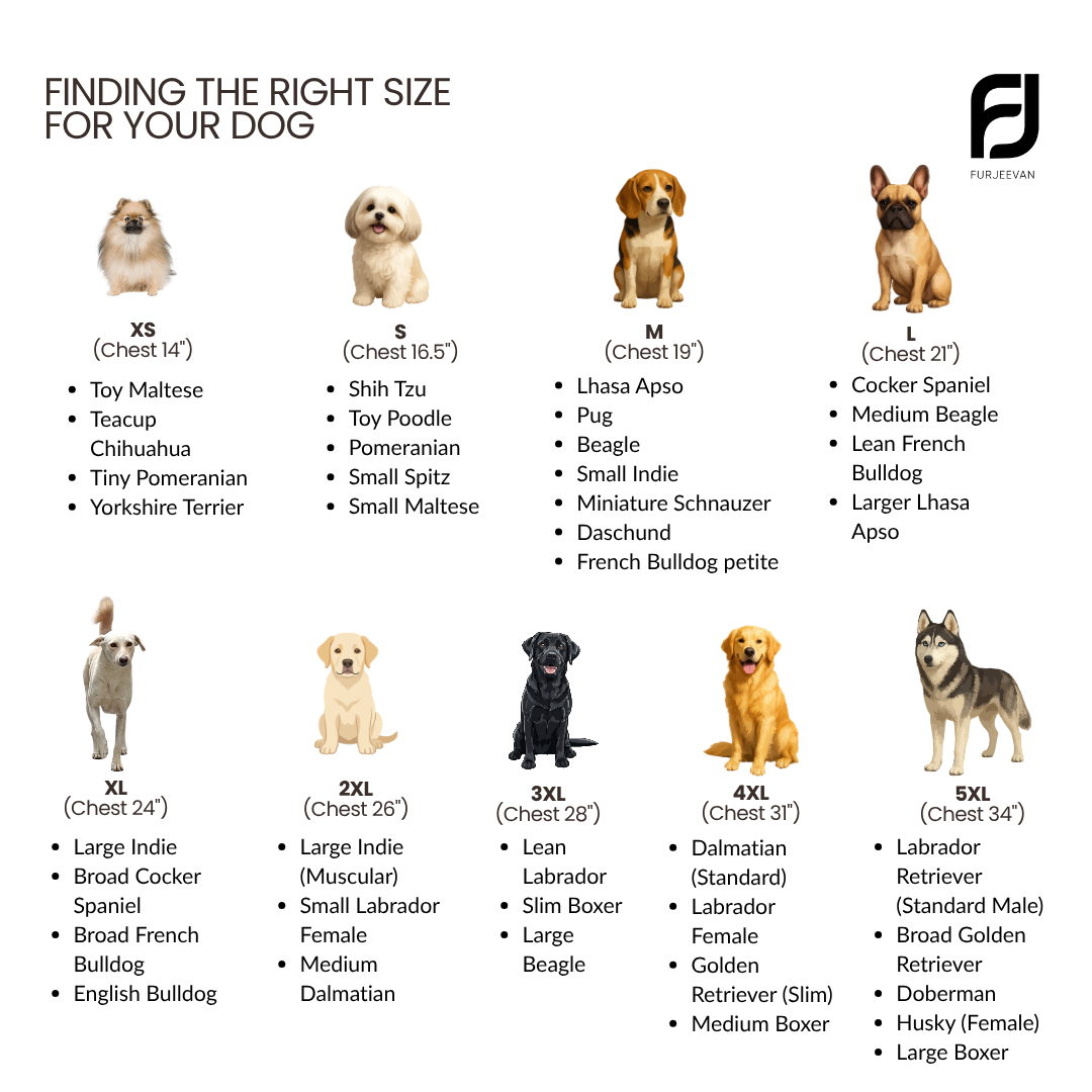 Dog T-shirt size chart by FurJeevan with images of dogs and corresponding sizes.