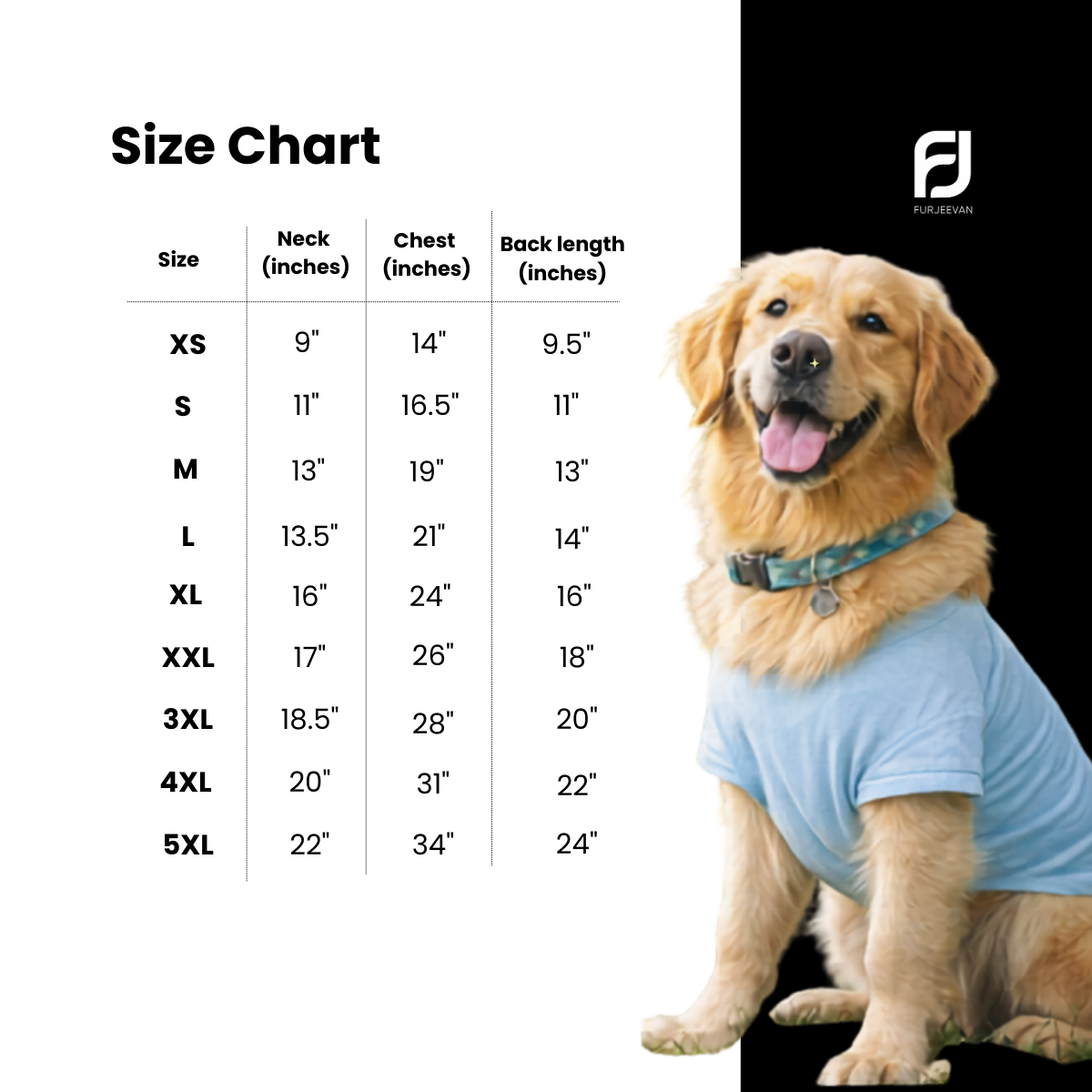 FurJeevan's Dog t-shirt size chart with a golden retriever wearing a blue tshirt.