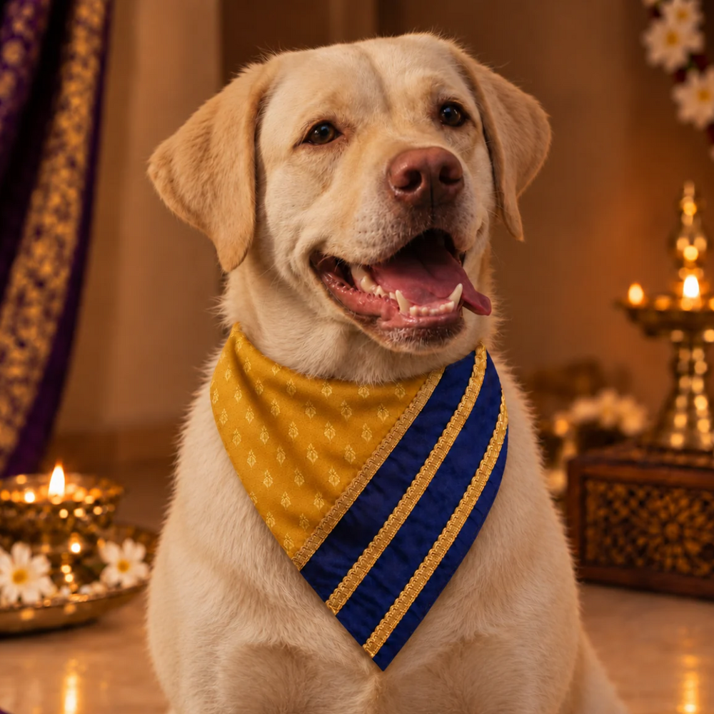 Mustard Yellow & Navy Ethnic Dog Bandana