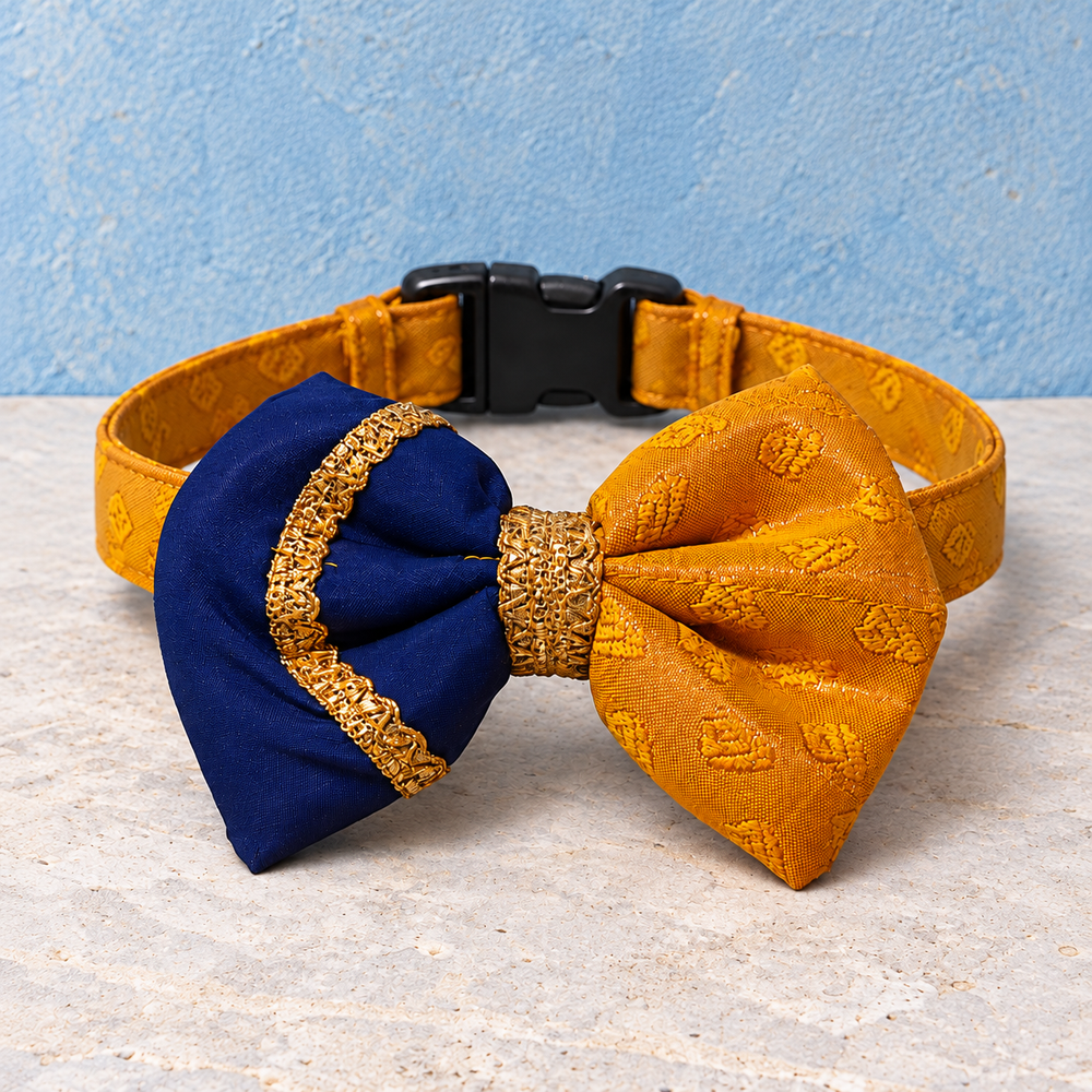 Kesari mustard yellow and navy detachable ethnic dog bow with matching adjustable collar.