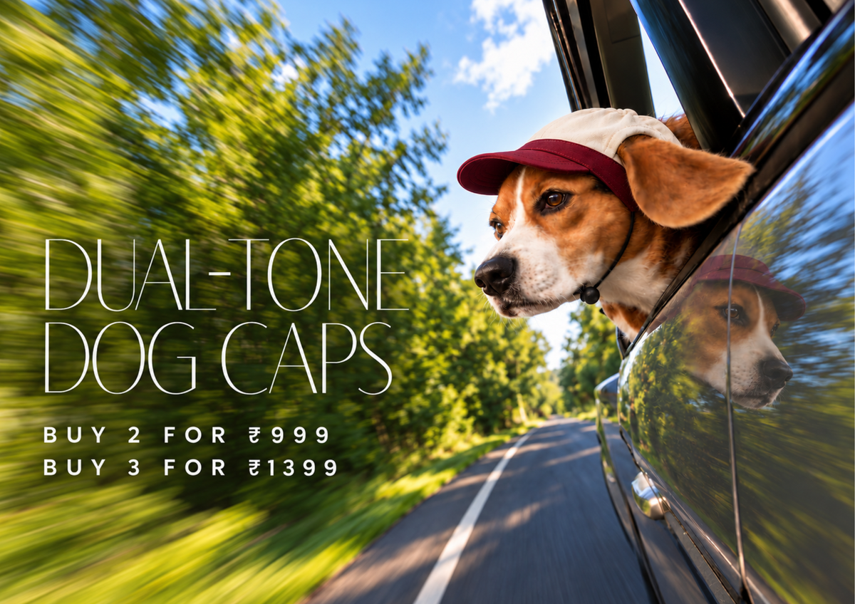 Shop banner