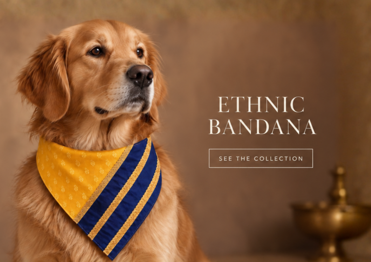 Shop banner