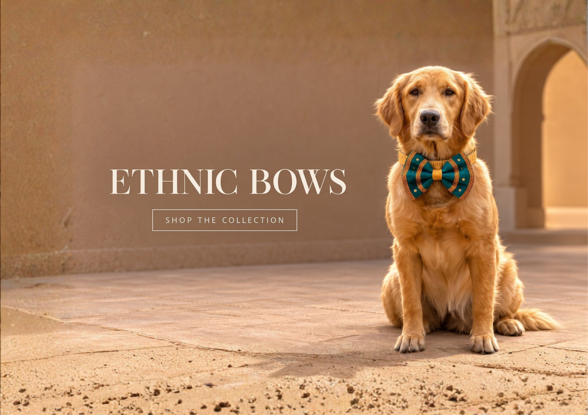 Shop banner