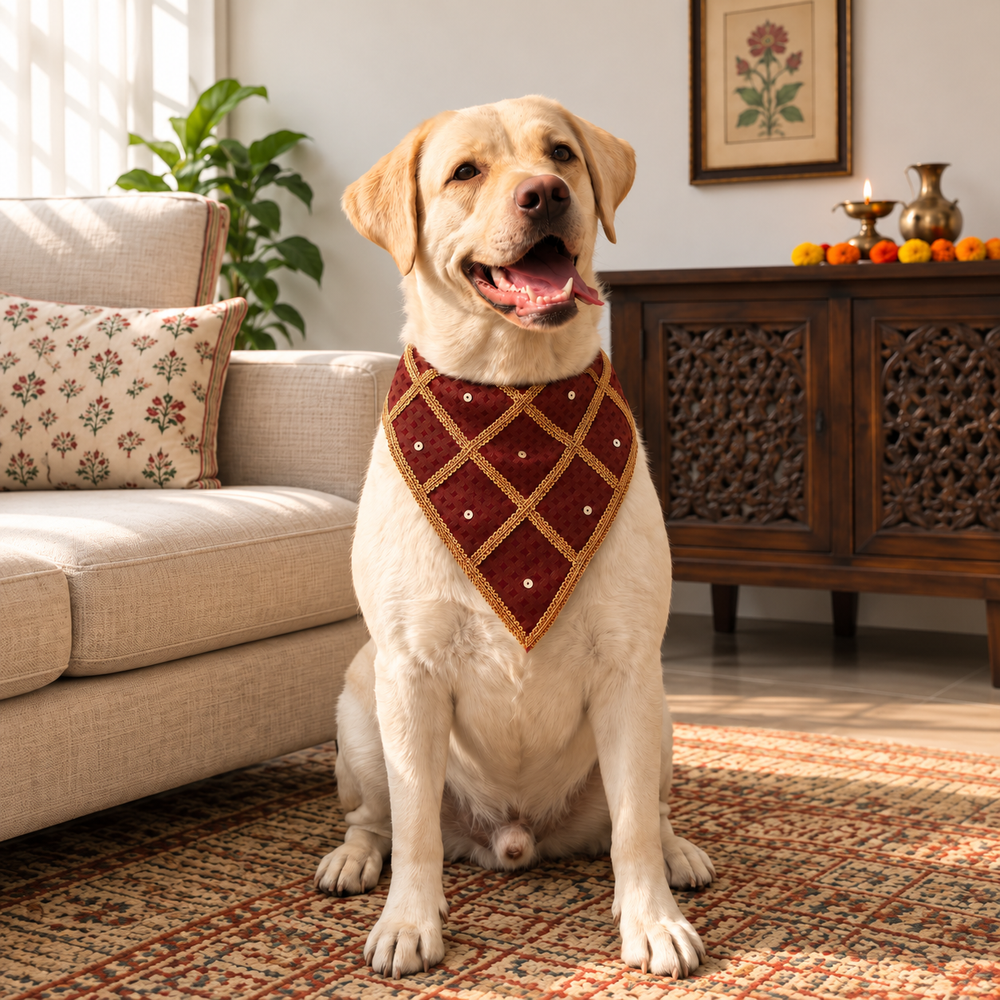 Cream Labrador wearing FurJeevan’s Maroon & Gold Ethnic Dog Bandana, seated in a traditional indoor setting.