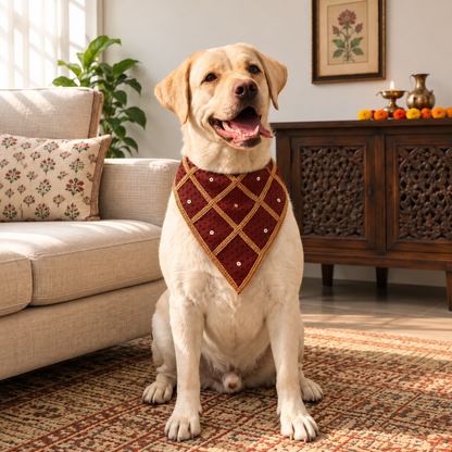 Cream Labrador wearing FurJeevan’s Maroon & Gold Ethnic Dog Bandana, seated in a traditional indoor setting.