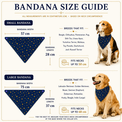 A bandana size guide infographic showing small and large triangular dog bandanas with measurements in centimeters, breeds that fit, and photos of a beagle and a golden retriever wearing the bandanas.