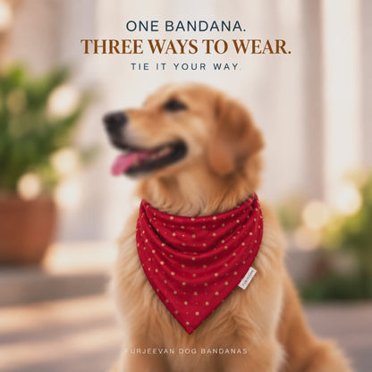 Black Polka Dot Dog Bandana