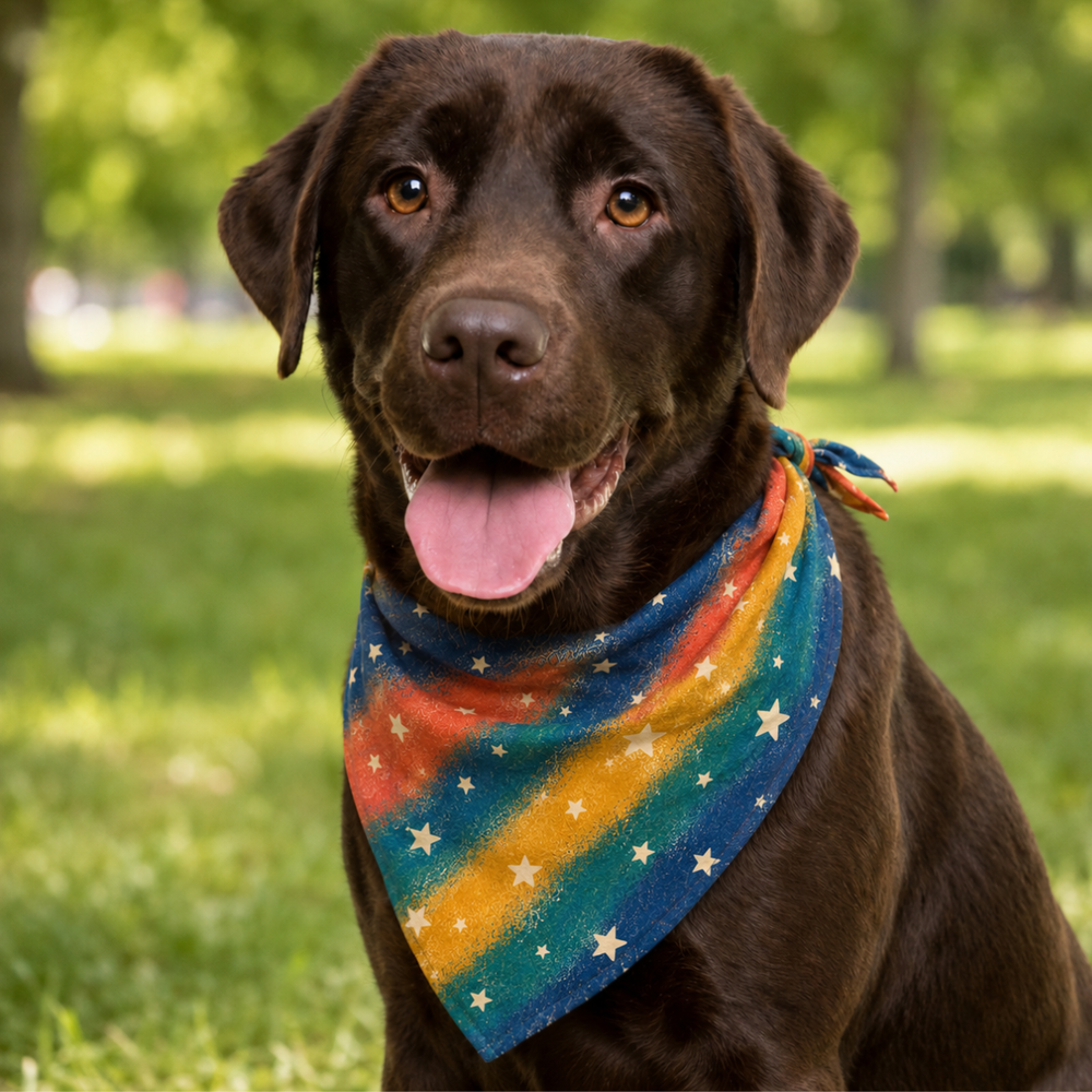 A chocolate Labrador retriever wearing a colorful dog bandana with rainbow stripes and white stars, sitting in a sunny green park.