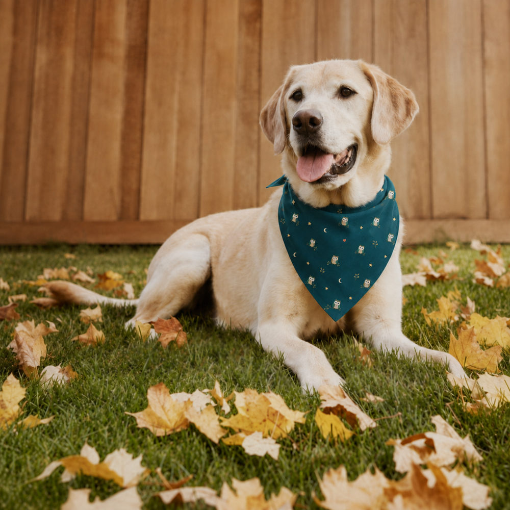 A yellow Labrador retriever lying on green grass scattered with autumn leaves, wearing a teal bandana with a white celestial pattern. The dog is positioned in front of a wooden fence.